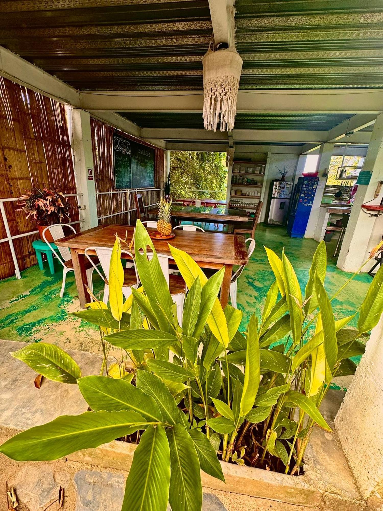 Hotel Renasci Palomino Dış mekan fotoğraf